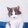 chenchenyisheng1121