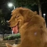 crispyjcream_03