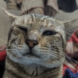 I am watching you...