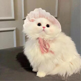 monsteryoueryuan