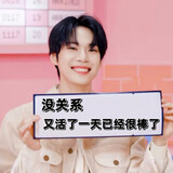 zhangxinglunan