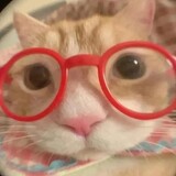 yiciwaiyouyiqaq