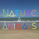 Nature & Animals