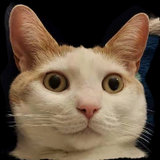 jparkque