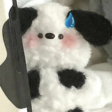 yuanapai