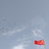 cuixiansheng--