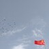 cuixiansheng--