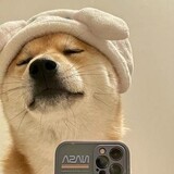 heqianqianqianqian