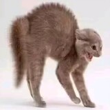 hundunlaoliulaowu