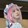 youmubushimuyoumuao