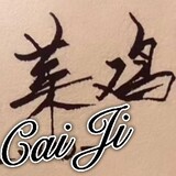 caijidejiewupindao