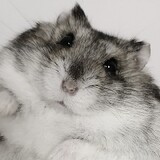 yebonailvbujiabing