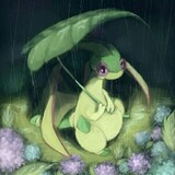 shamoqingting-flygon