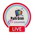 Palli Gram Tv