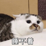 yunshang___gouxiaowu