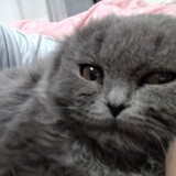 yueyua___