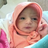 Mohan.20