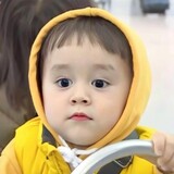 chulai_zhadao