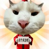 zhuge___meme