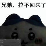 djhvdusn