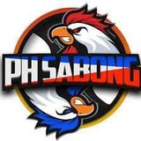PHSABONG(TEAMYG)