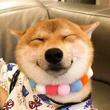 ningmengdanyecha