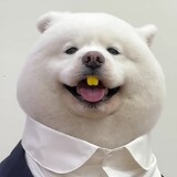 kaixin____jiushi____