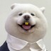 kaixin____jiushi____