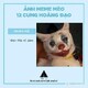 creator avatar