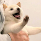 jiquanyi