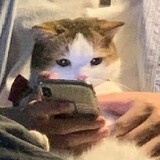 anfeixianghebingkele