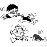 taoshigehaoxiaohuozi