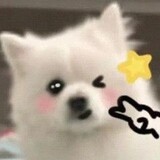 renxiaoxiao