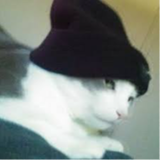 coedotz