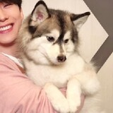 lyeyenaidongdongl