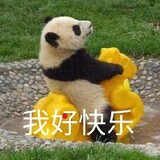 yinyangguaiqixiaoaju
