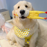 naiyouweidexiaobaoli