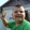 bili_2102682415