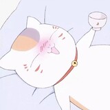 anyue___inran