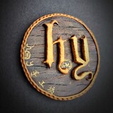 hyshouyi