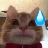 juwubagongzhu_
