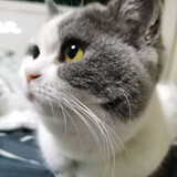 weidunishibukequti