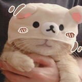 shieryuewuyan