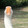 zuobiaoxix-