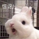 kecpshiwokuaile1