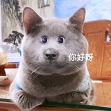 xuecaidenaibai