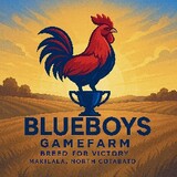 BLUEBOYS GF