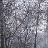 guoguobuxiangshuijue