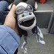 creator avatar