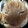 cat-anga